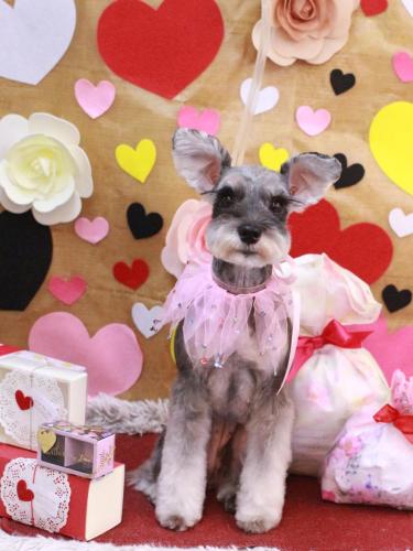 20230211むぎちゃん